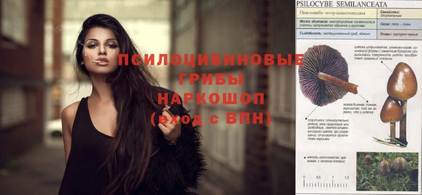 прущая мука Михайлов