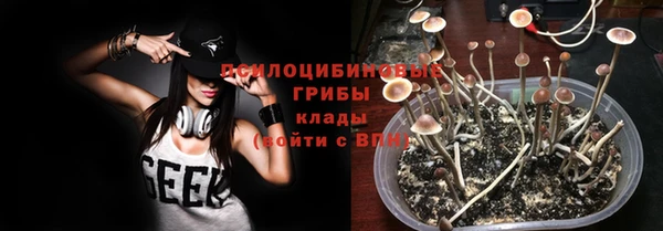 соль ск Навашино