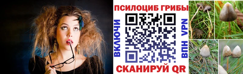 Псилоцибиновые грибы GOLDEN TEACHER  Всеволожск 